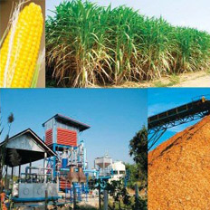 บริษัท สงขลา ไบโอแมส จำกัด Biomass technology is?
