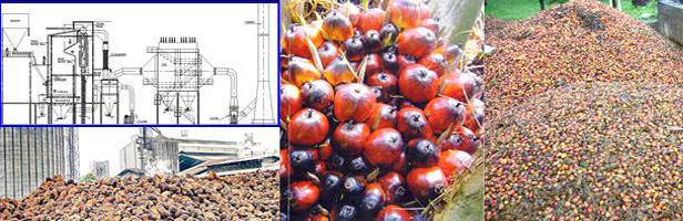 Palm Shell, Palm Fruit Bunch, Palm Kernel Shell and Fiber.