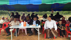 บริษัท สงขลา ไบโอแมส จำกัด Sport Haley's support of 56 cases.